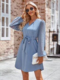 Swiss Dot Long Sleeve Mini Dress